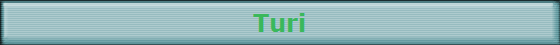 Turi